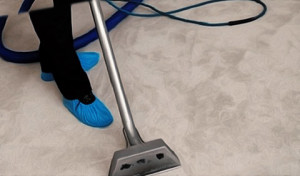 carpet dry cleaning 
