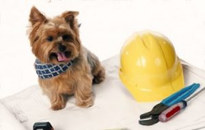 aluminium scaffolding