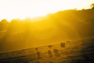 designer lighting solutions Melbourne