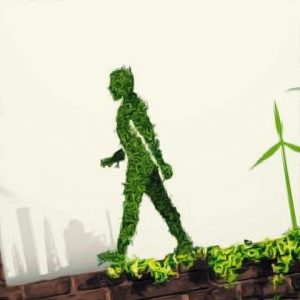 commercial solar Melbourne